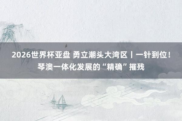 2026世界杯亚盘 勇立潮头大湾区丨一针到位！琴澳一体化发展的“精确”摧残