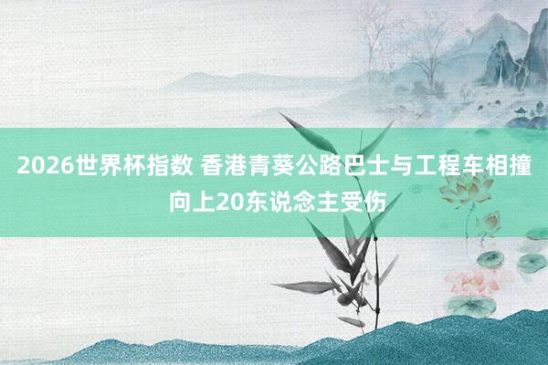 2026世界杯指数 香港青葵公路巴士与工程车相撞 向上20东说念主受伤