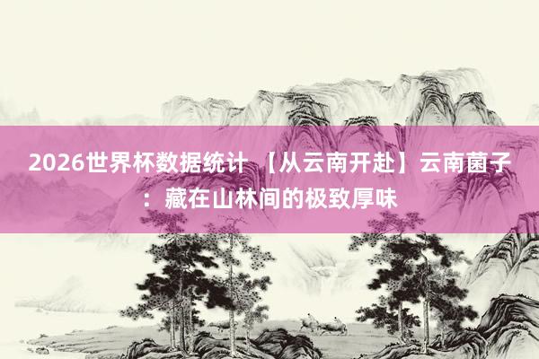 2026世界杯数据统计 【从云南开赴】云南菌子：藏在山林间的极致厚味