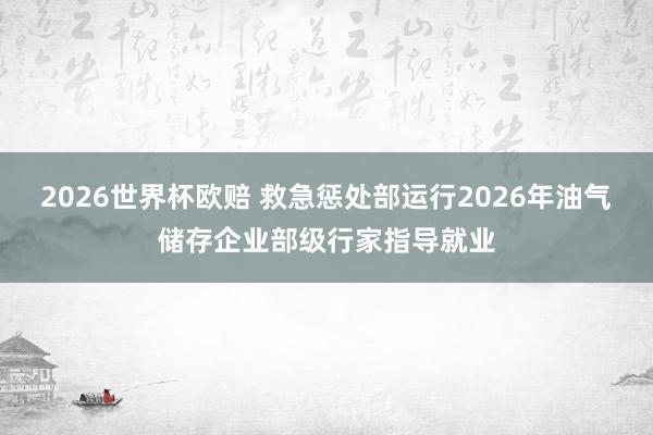2026世界杯欧赔 救急惩处部运行2026年油气储存企业部级行家指导就业
