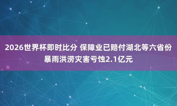 2026世界杯即时比分 保障业已赔付湖北等六省份暴雨洪涝灾害亏蚀2.1亿元