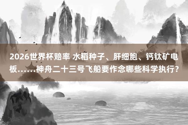 2026世界杯赔率 水稻种子、肝细胞、钙钛矿电板……神舟二十三号飞船要作念哪些科学执行？