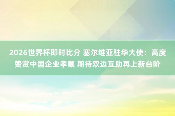 2026世界杯即时比分 塞尔维亚驻华大使：高度赞赏中国企业孝顺 期待双边互助再上新台阶
