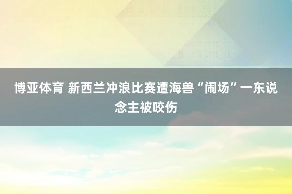 博亚体育 新西兰冲浪比赛遭海兽“闹场”　一东说念主被咬伤