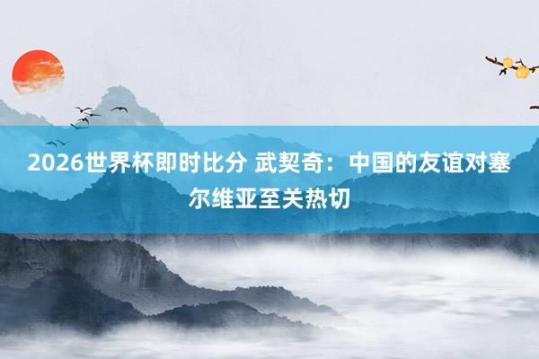 2026世界杯即时比分 武契奇：中国的友谊对塞尔维亚至关热切