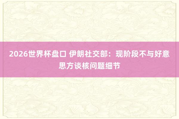 2026世界杯盘口 伊朗社交部：现阶段不与好意思方谈核问题细节