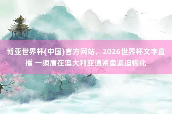 博亚世界杯(中国)官方网站，2026世界杯文字直播 一须眉在澳大利亚遭鲨鱼紧迫物化