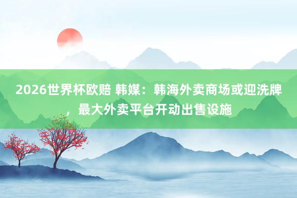 2026世界杯欧赔 韩媒：韩海外卖商场或迎洗牌，最大外卖平台开动出售设施