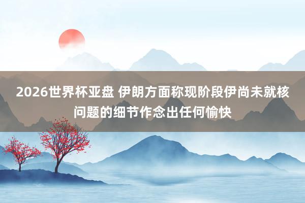 2026世界杯亚盘 伊朗方面称现阶段伊尚未就核问题的细节作念出任何愉快