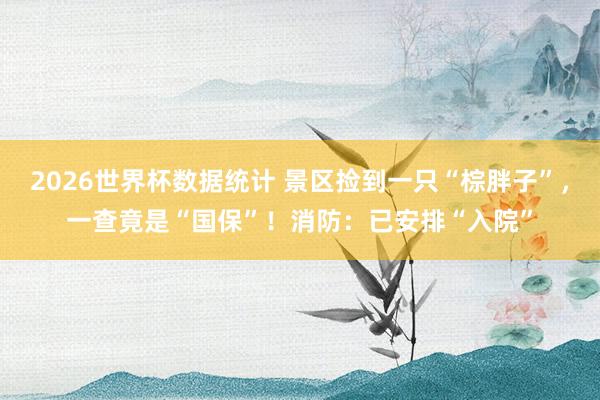 2026世界杯数据统计 景区捡到一只“棕胖子”，一查竟是“国保”！消防：已安排“入院”
