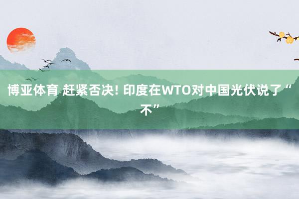 博亚体育 赶紧否决! 印度在WTO对中国光伏说了“不”