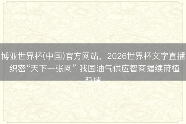 博亚世界杯(中国)官方网站，2026世界杯文字直播 织密“天下一张网” 我国油气供应智商握续莳植