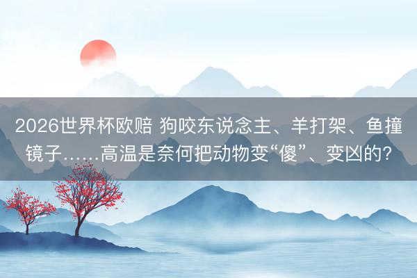 2026世界杯欧赔 狗咬东说念主、羊打架、鱼撞镜子……高温是奈何把动物变“傻”、变凶的?